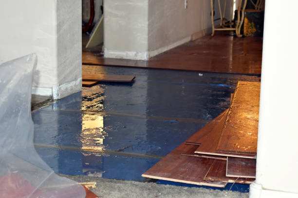 Professional Burst Pipe Cleanup technician working in Medina, TX